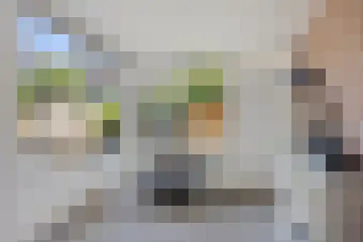 Soestdijksekade 818 Den Haag thumbnail 14