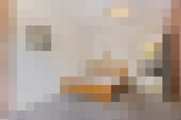 Soestdijksekade 818 Den Haag thumbnail 15