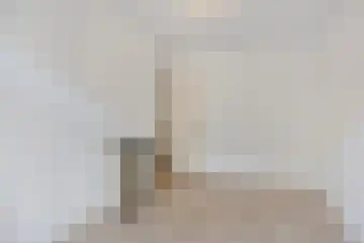 Soestdijksekade 818 Den Haag thumbnail 18
