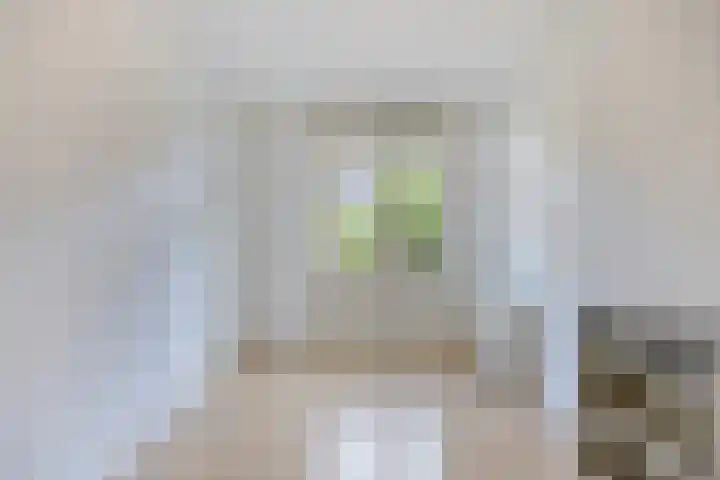 Soestdijksekade 818 Den Haag thumbnail 19