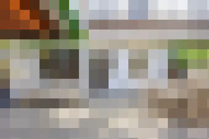 Soestdijksekade 818 Den Haag thumbnail 20
