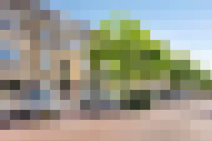 Soestdijksekade 818 Den Haag thumbnail 22