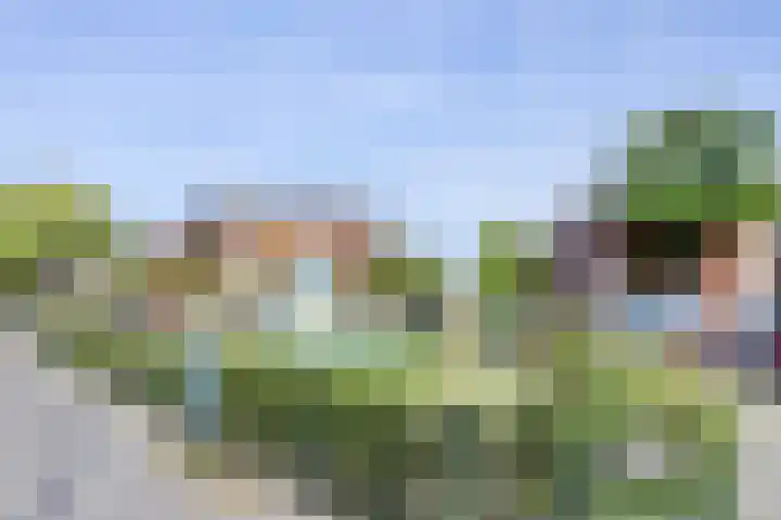 Soestdijksekade 818 Den Haag thumbnail 23