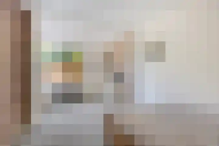 Soestdijksekade 818 Den Haag thumbnail 4