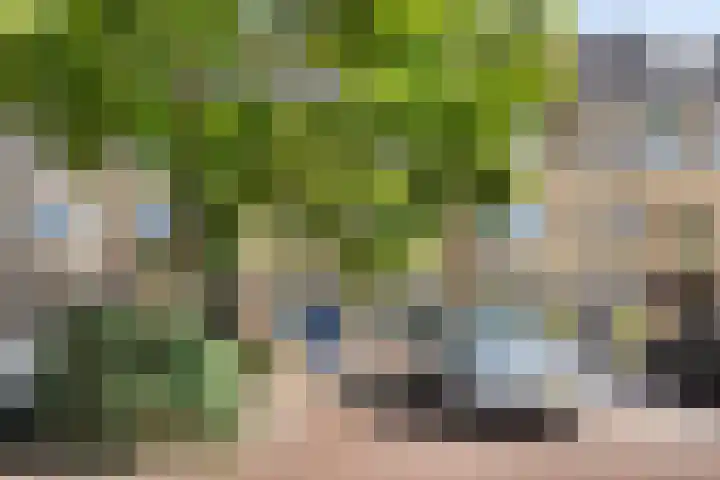 Soestdijksekade 818 Den Haag thumbnail 5
