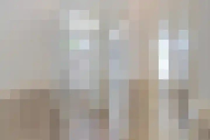 Soestdijksekade 818 Den Haag thumbnail 7
