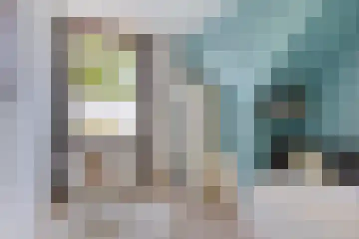 Soestdijksekade 818 Den Haag thumbnail 8
