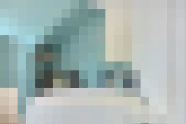 Soestdijksekade 818 Den Haag thumbnail 9