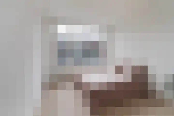 Soestdijksekade 828 Den Haag thumbnail 10