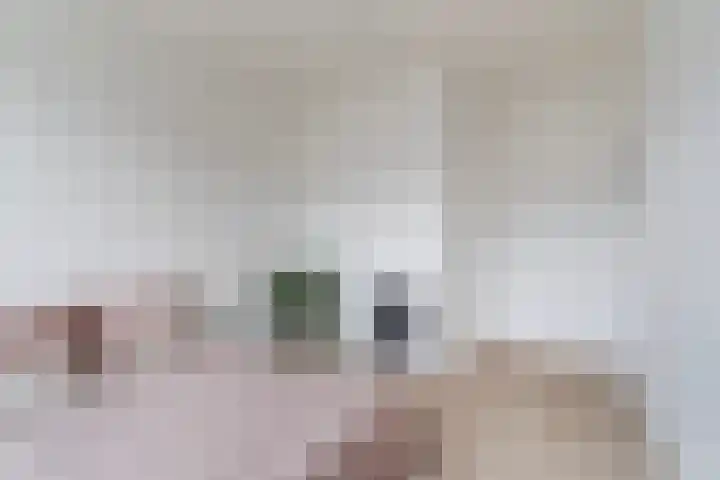Soestdijksekade 828 Den Haag thumbnail 11