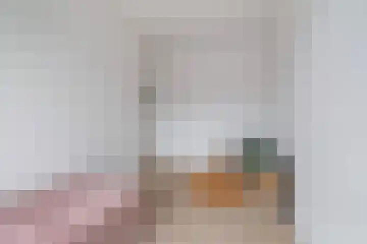 Soestdijksekade 828 Den Haag thumbnail 13