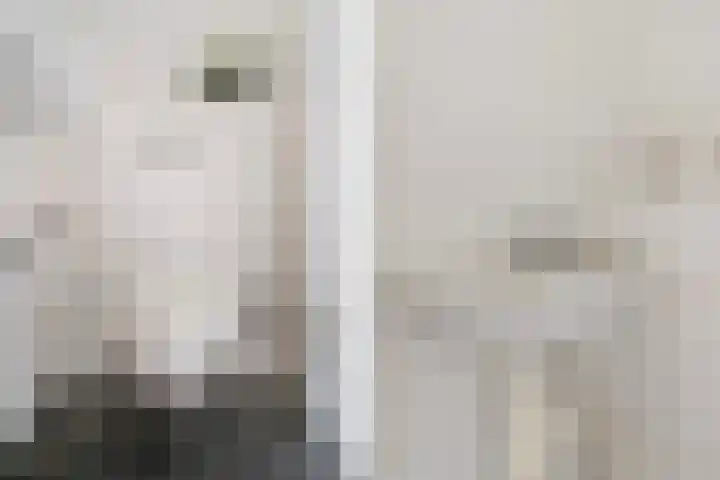 Soestdijksekade 828 Den Haag thumbnail 16
