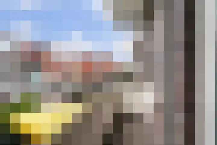 Soestdijksekade 828 Den Haag thumbnail 17