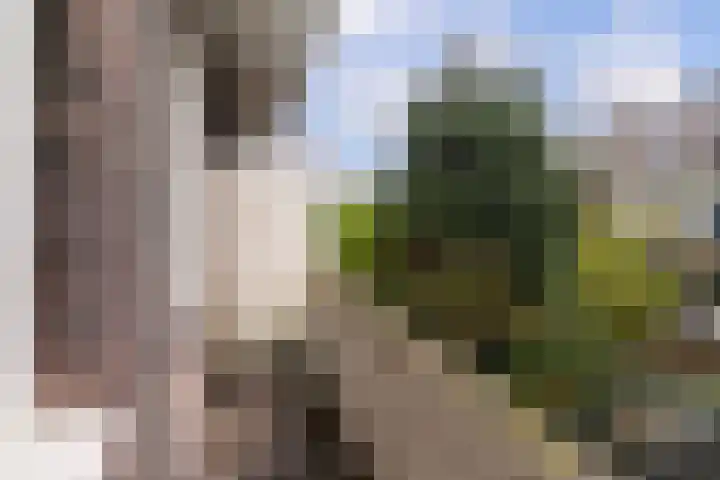 Soestdijksekade 828 Den Haag thumbnail 18