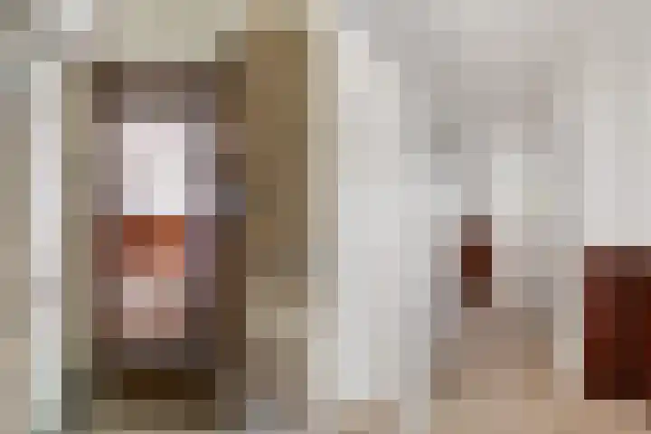 Soestdijksekade 828 Den Haag thumbnail 19