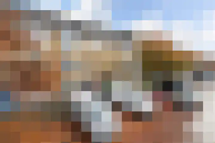 Soestdijksekade 828 Den Haag thumbnail 23