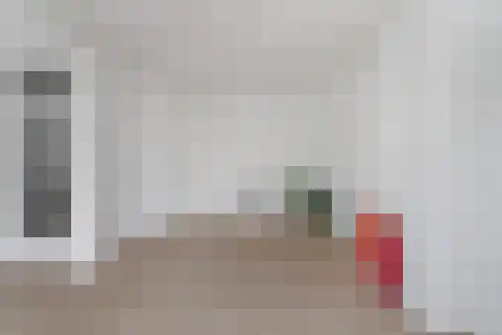 Soestdijksekade 828 Den Haag thumbnail 4