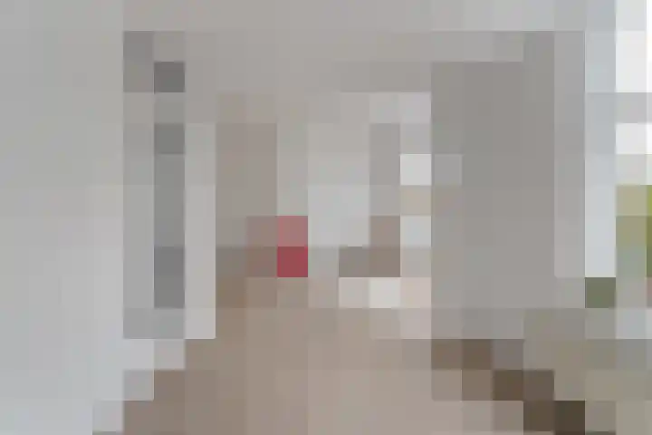 Soestdijksekade 828 Den Haag thumbnail 5