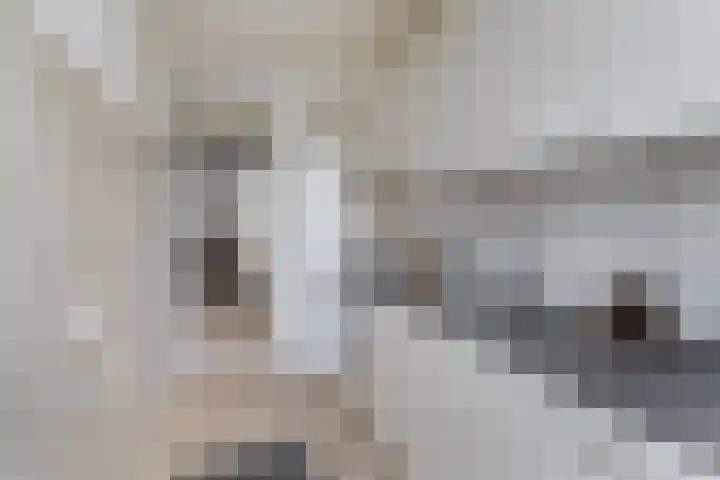 Soestdijksekade 828 Den Haag thumbnail 7