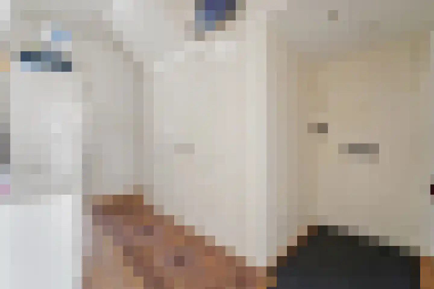 Soestdijksekade 858 Den Haag thumbnail 11