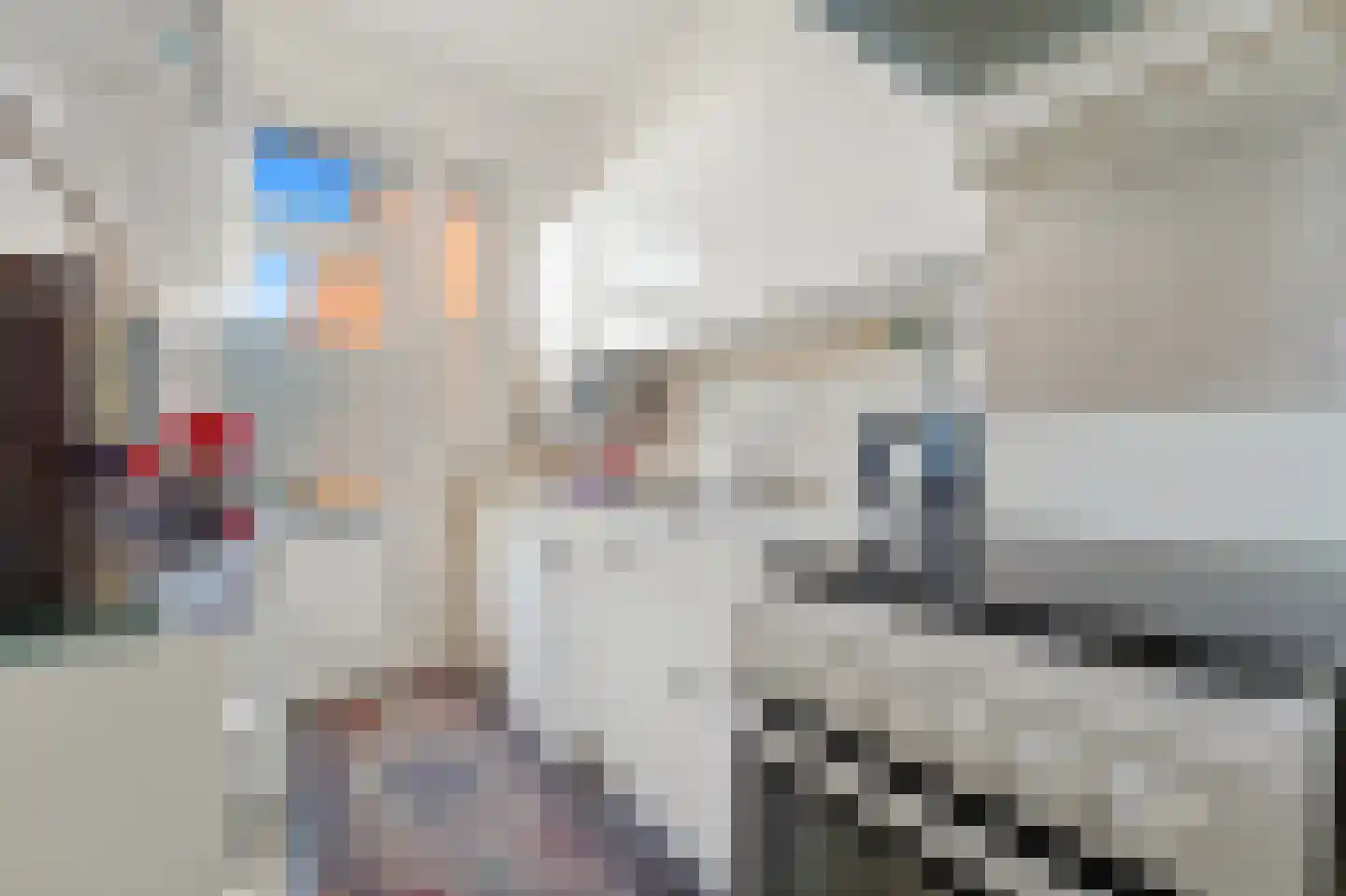 Soestdijksekade 858 Den Haag thumbnail 12