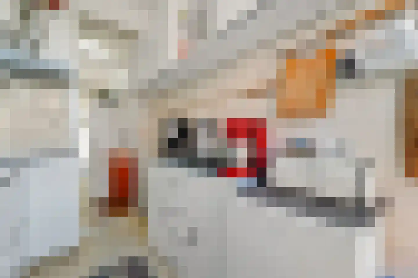 Soestdijksekade 858 Den Haag thumbnail 13