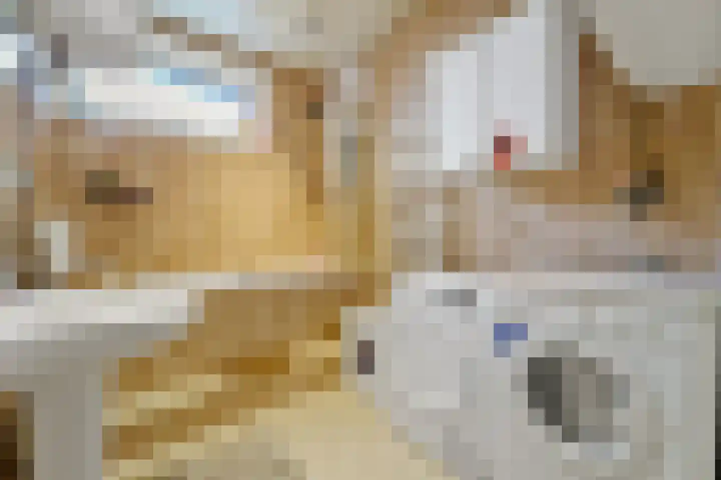Soestdijksekade 858 Den Haag thumbnail 17