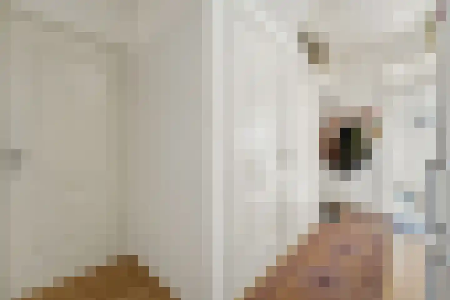 Soestdijksekade 858 Den Haag thumbnail 21