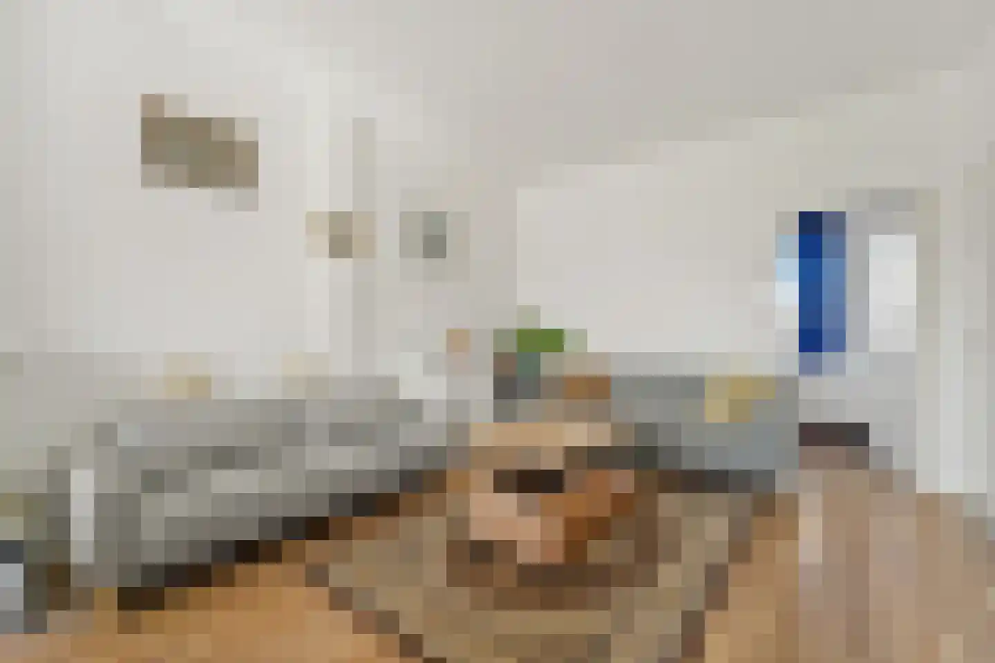 Soestdijksekade 858 Den Haag thumbnail 6