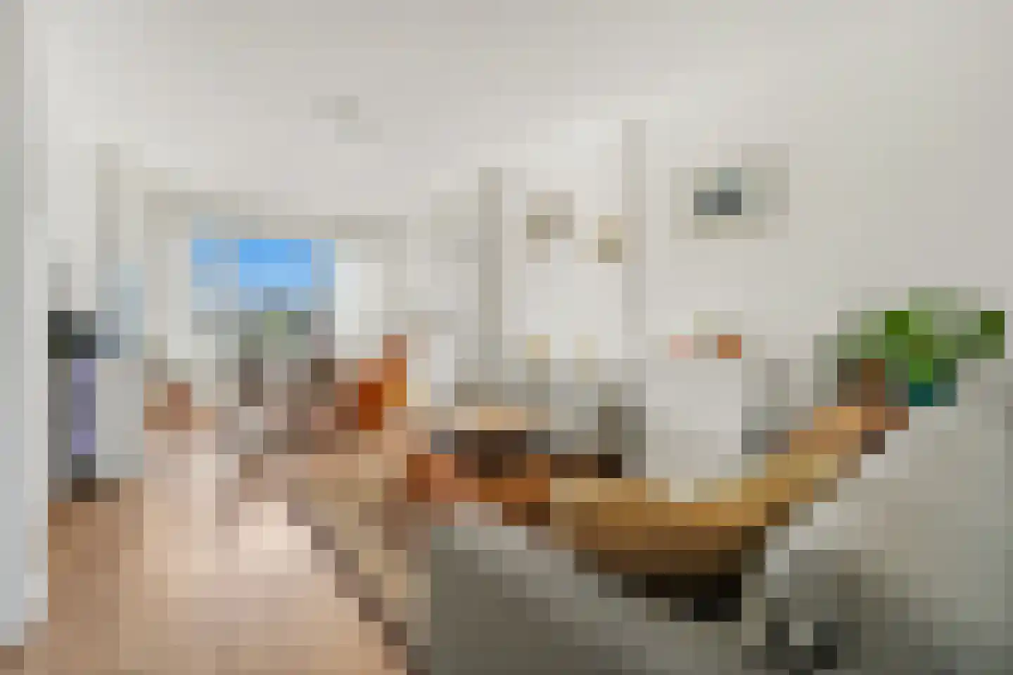 Soestdijksekade 858 Den Haag thumbnail 7