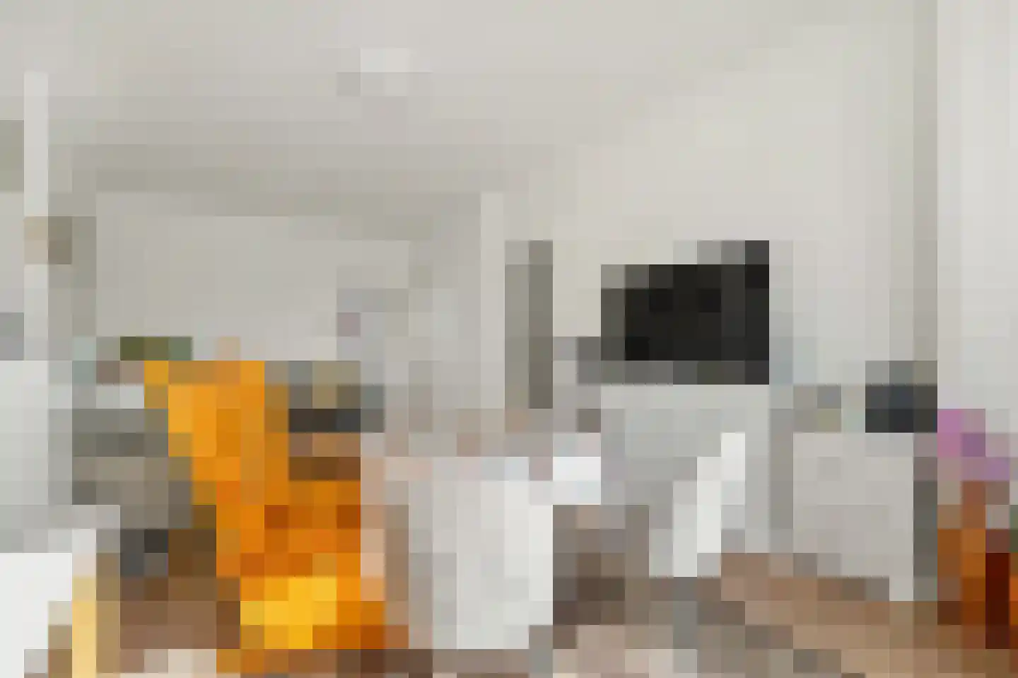 Soestdijksekade 858 Den Haag thumbnail 8