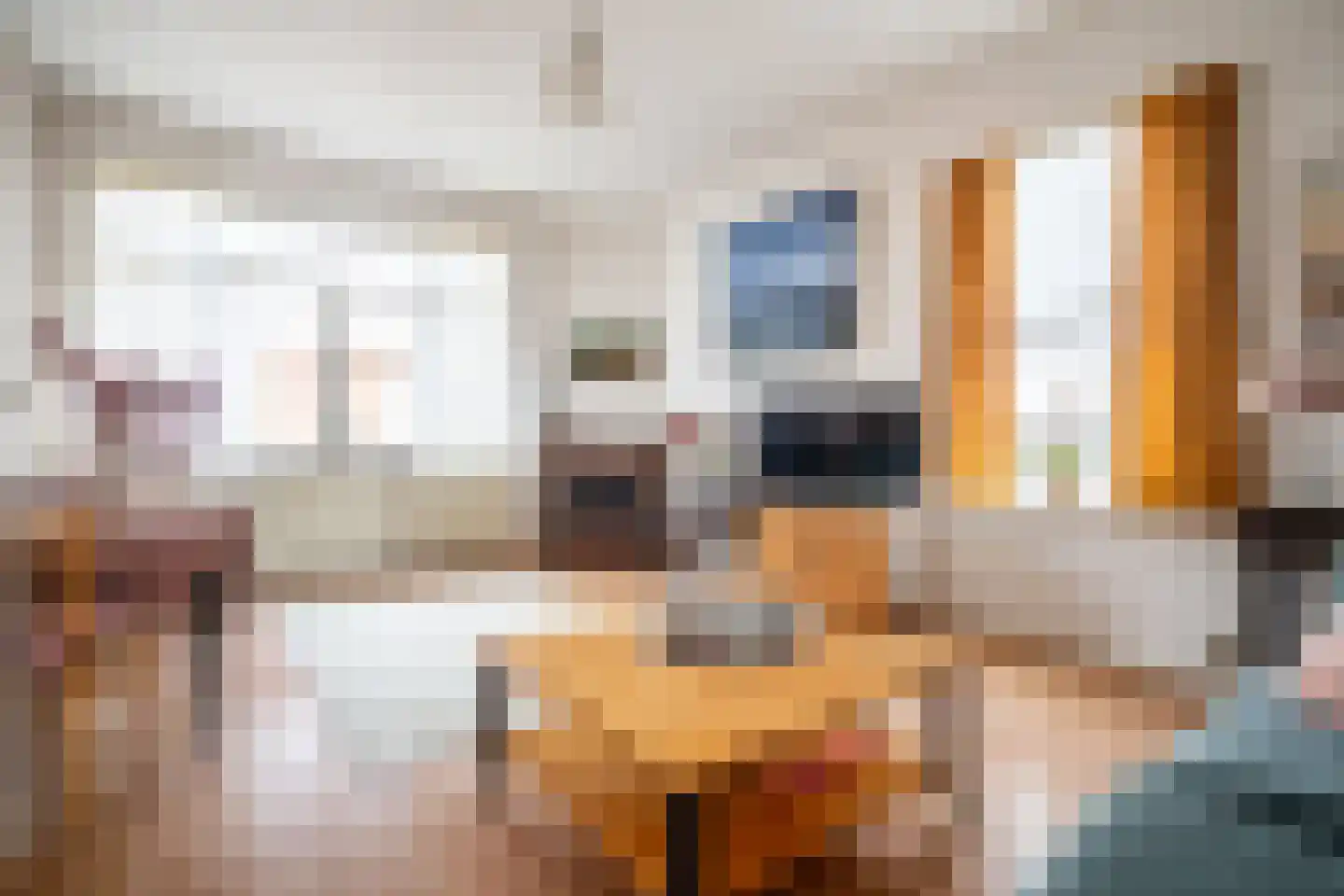 Soestdijksekade 862 Den Haag thumbnail 11