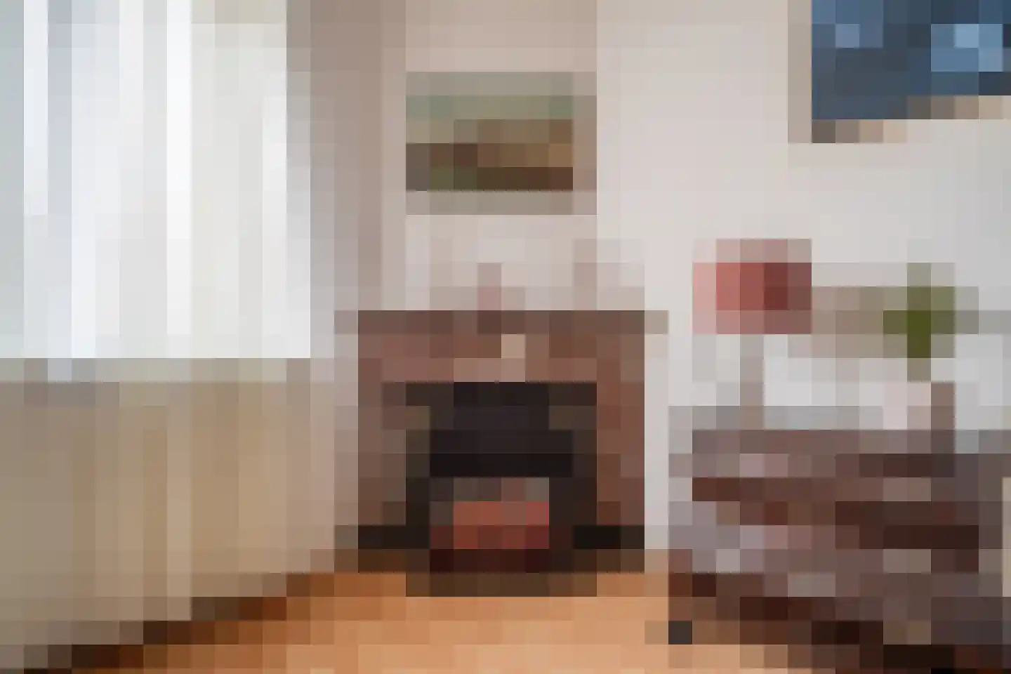 Soestdijksekade 862 Den Haag thumbnail 13