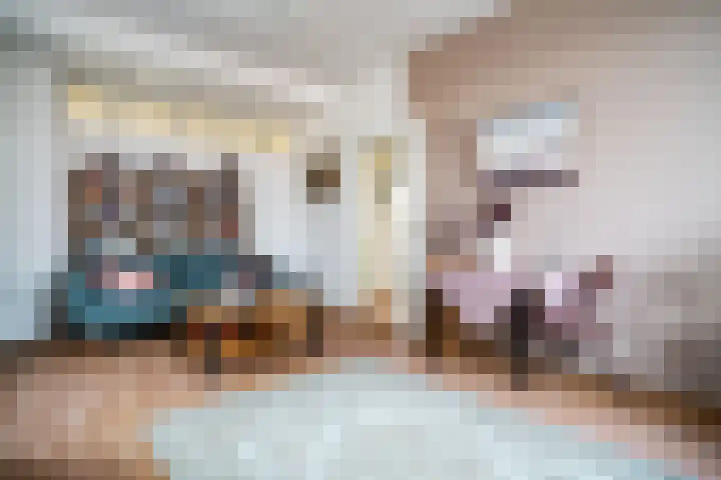 Soestdijksekade 862 Den Haag thumbnail 15