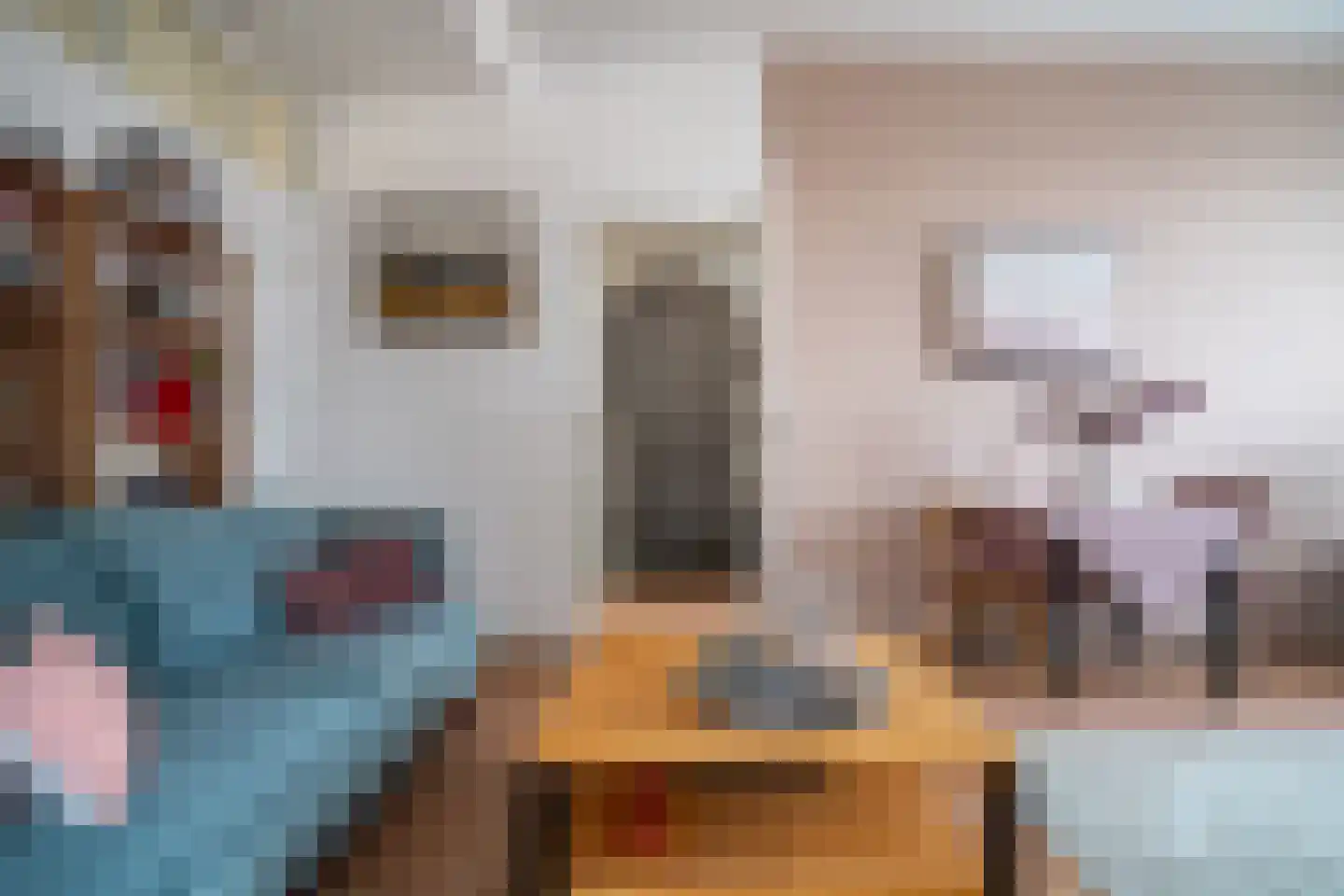 Soestdijksekade 862 Den Haag thumbnail 16