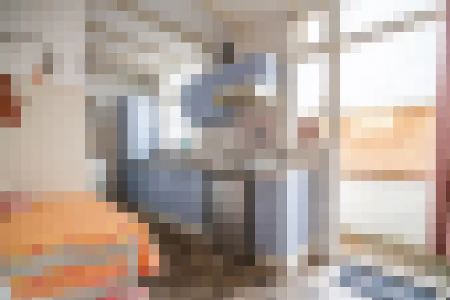 Soestdijksekade 862 Den Haag thumbnail 17