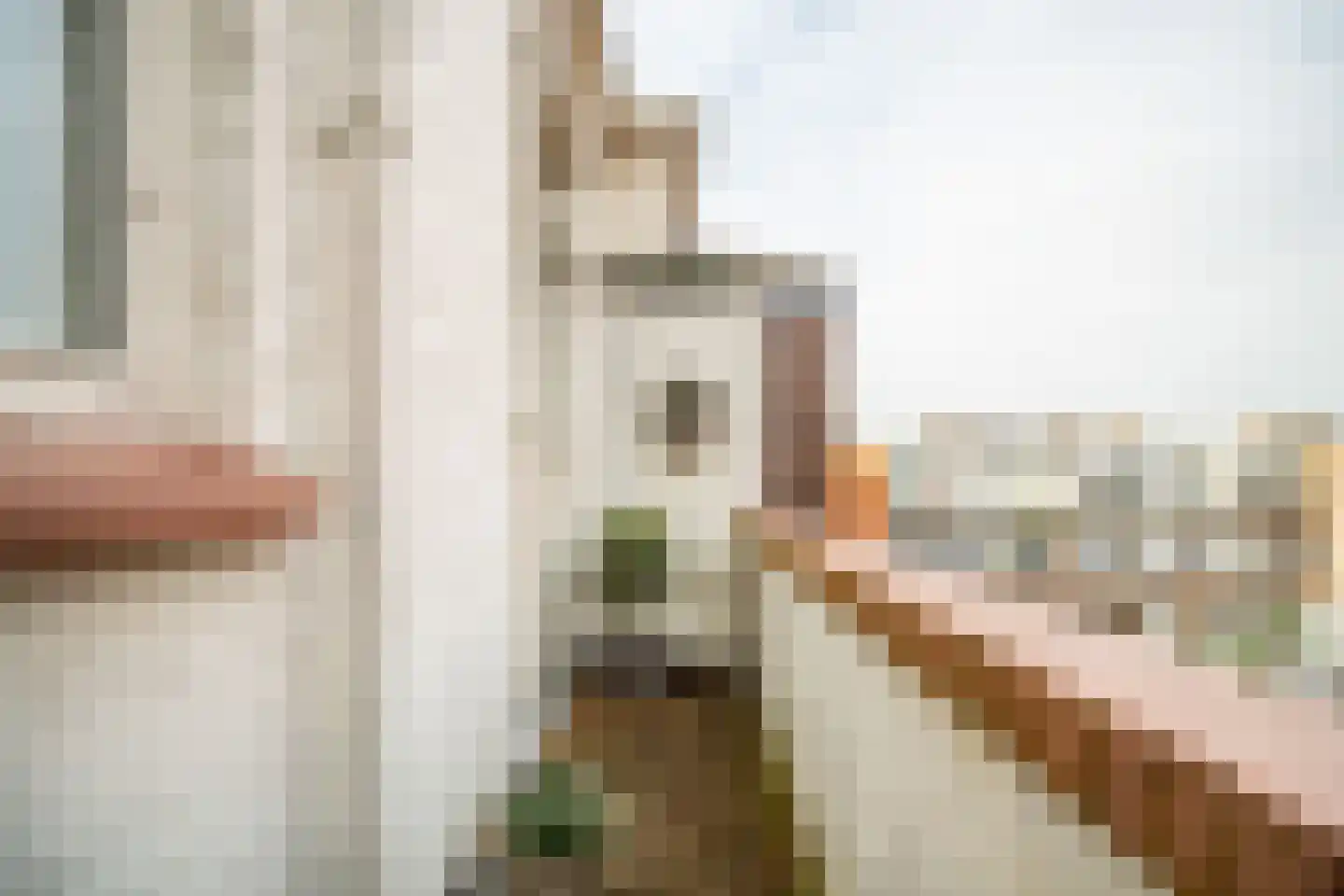 Soestdijksekade 862 Den Haag thumbnail 18