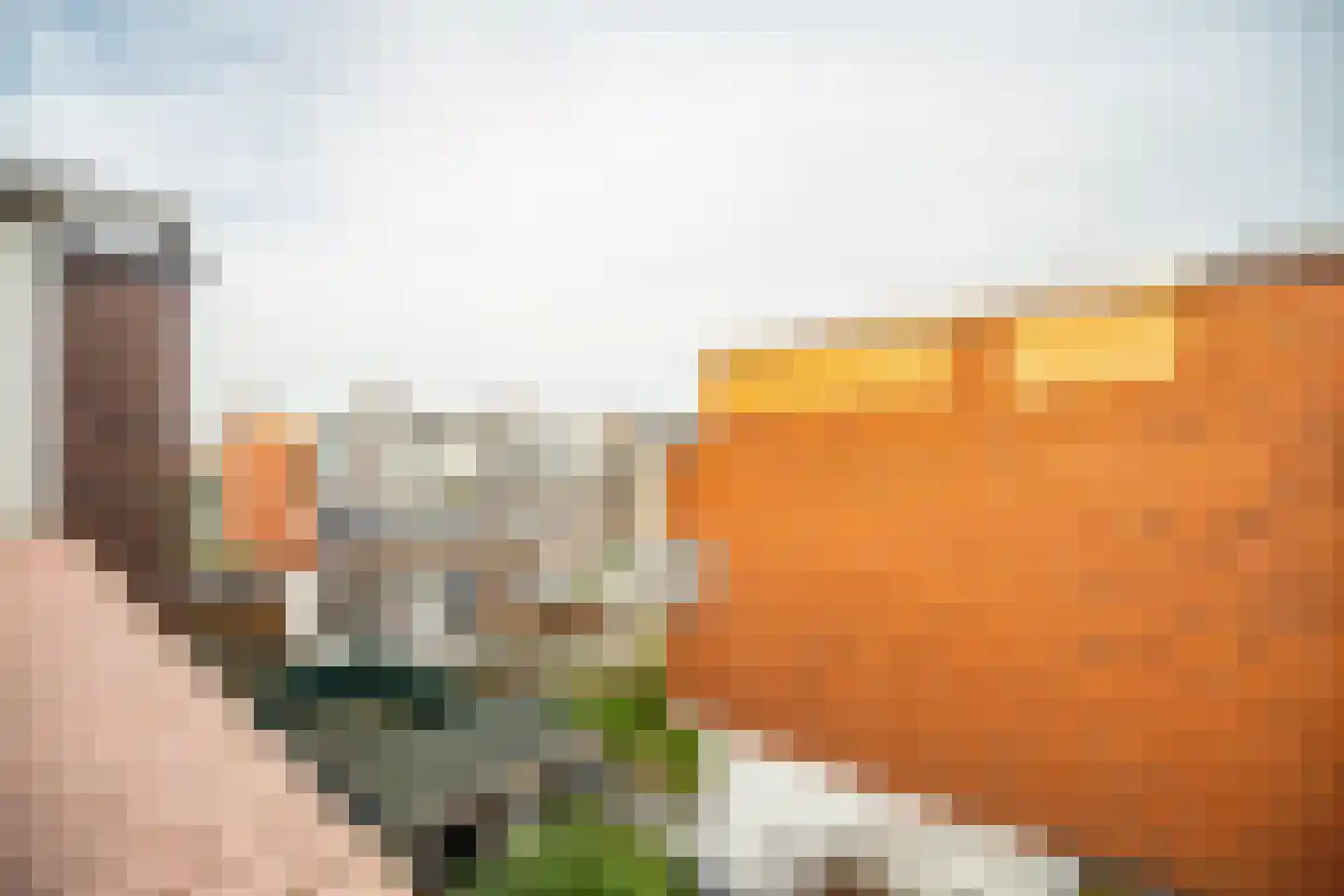 Soestdijksekade 862 Den Haag thumbnail 19