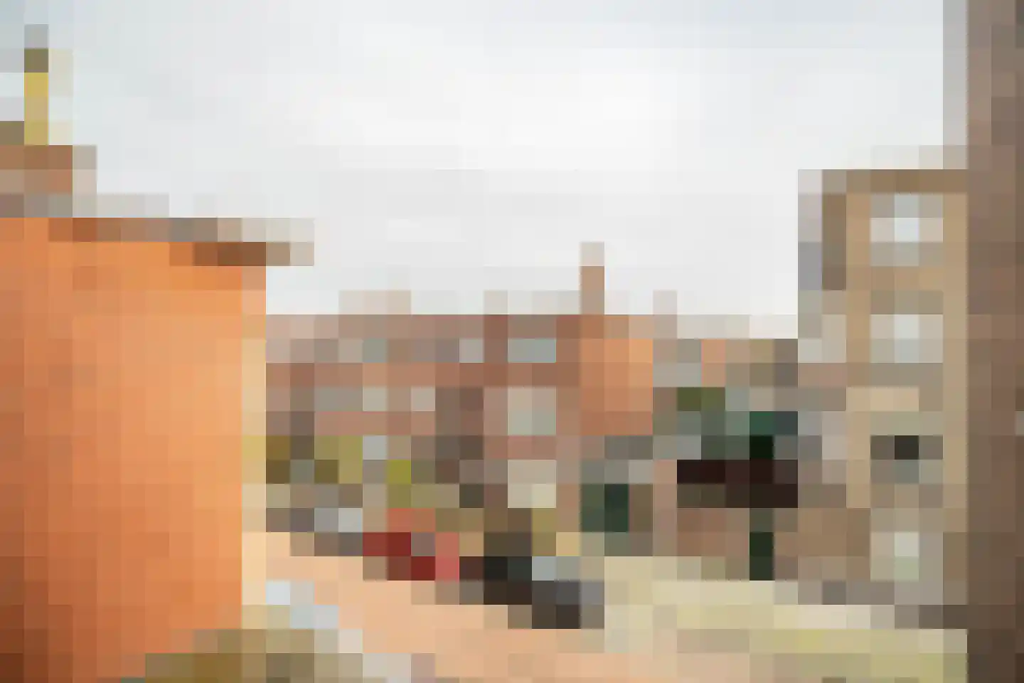 Soestdijksekade 862 Den Haag thumbnail 20