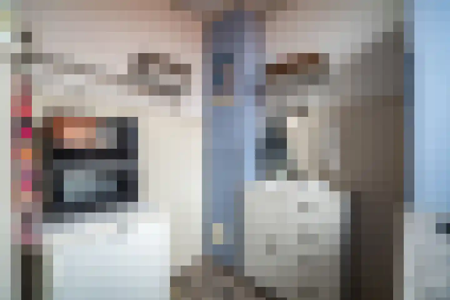 Soestdijksekade 862 Den Haag thumbnail 22