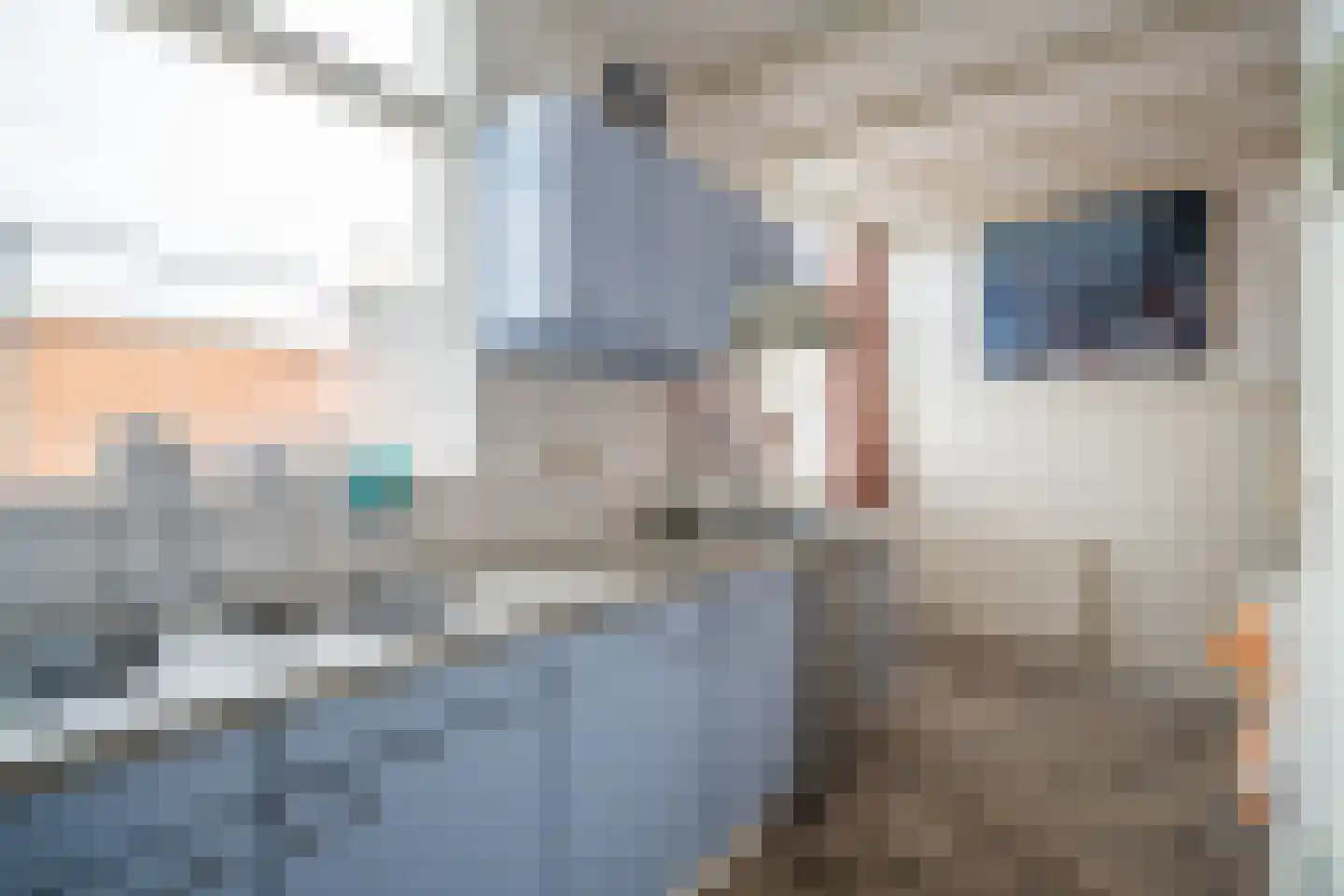 Soestdijksekade 862 Den Haag thumbnail 23