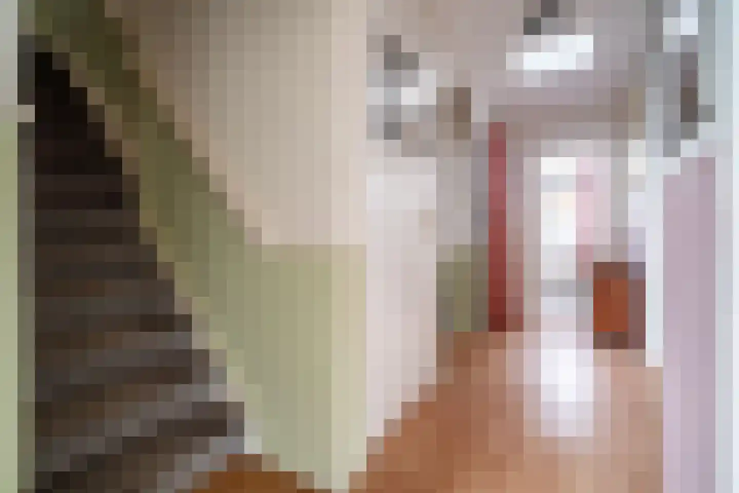 Soestdijksekade 862 Den Haag thumbnail 29