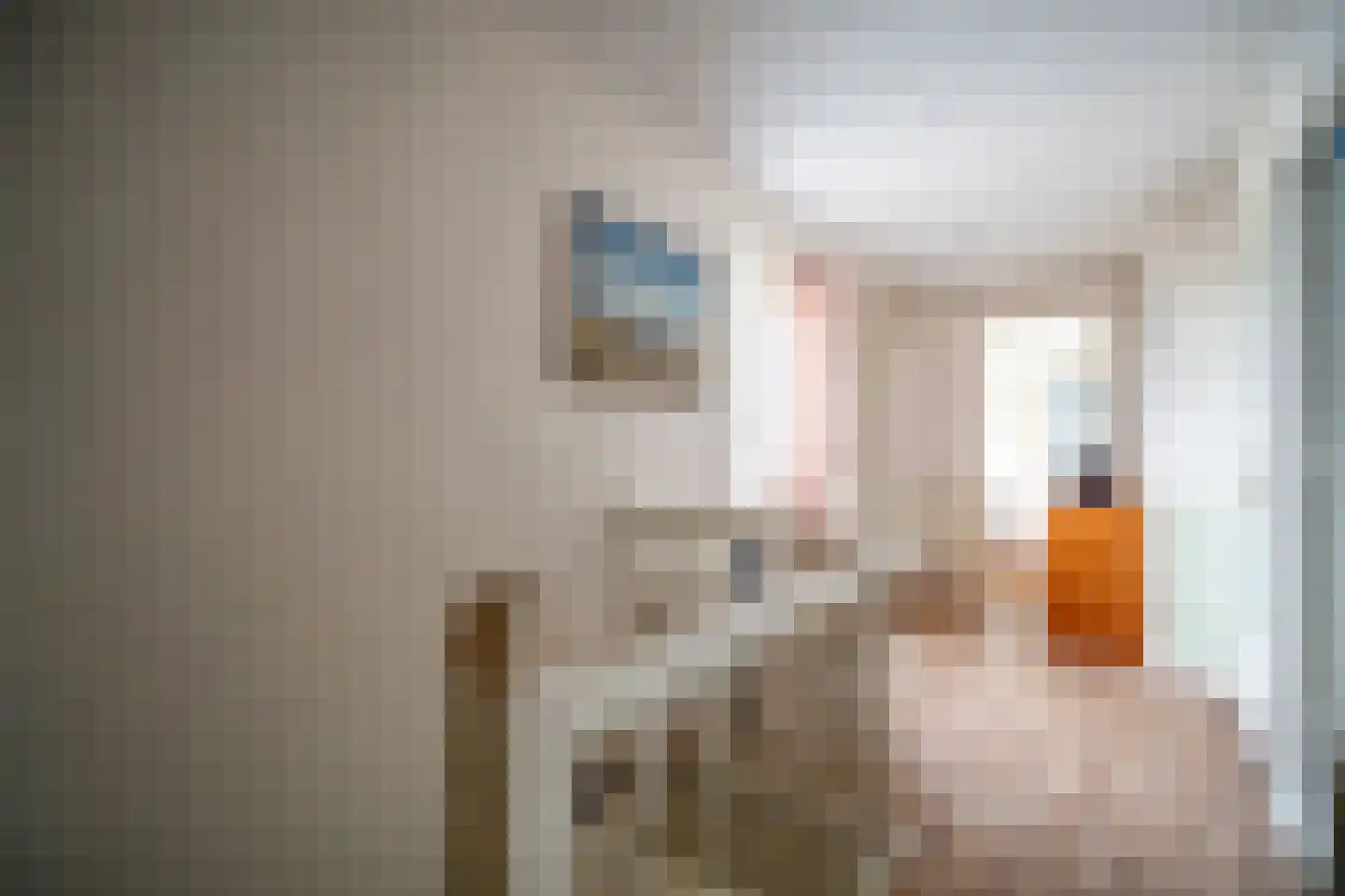 Soestdijksekade 862 Den Haag thumbnail 31