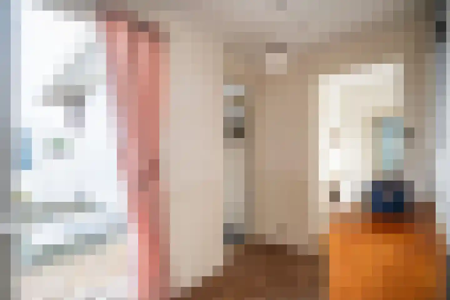 Soestdijksekade 862 Den Haag thumbnail 32