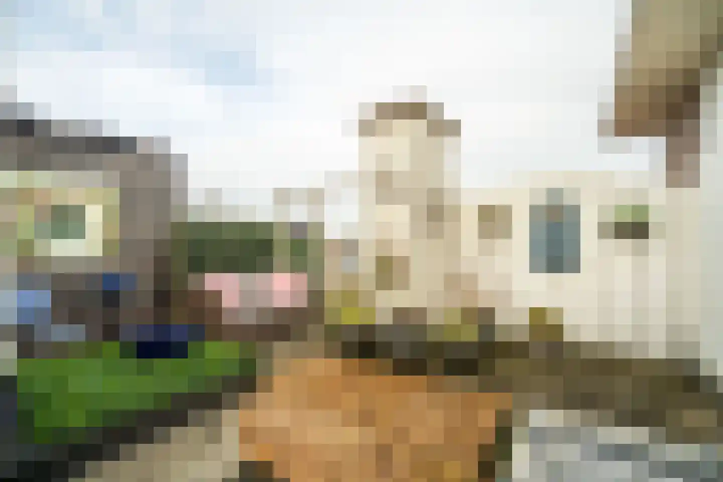 Soestdijksekade 862 Den Haag thumbnail 33