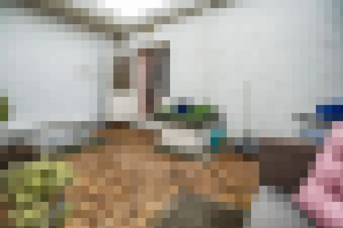 Soestdijksekade 862 Den Haag thumbnail 35