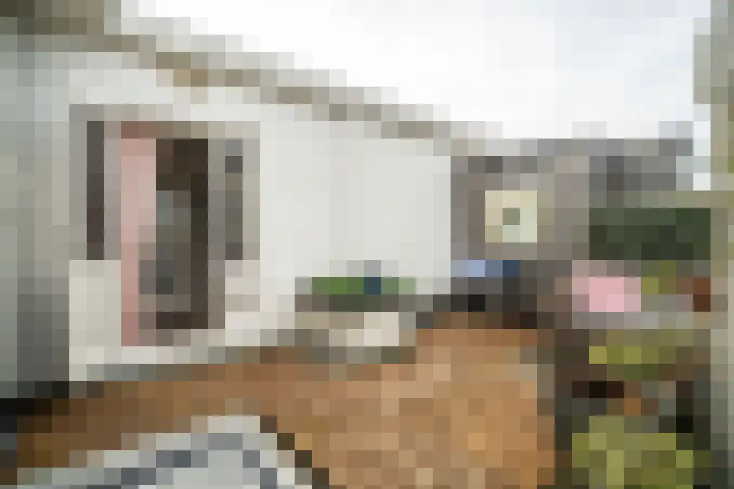 Soestdijksekade 862 Den Haag thumbnail 36