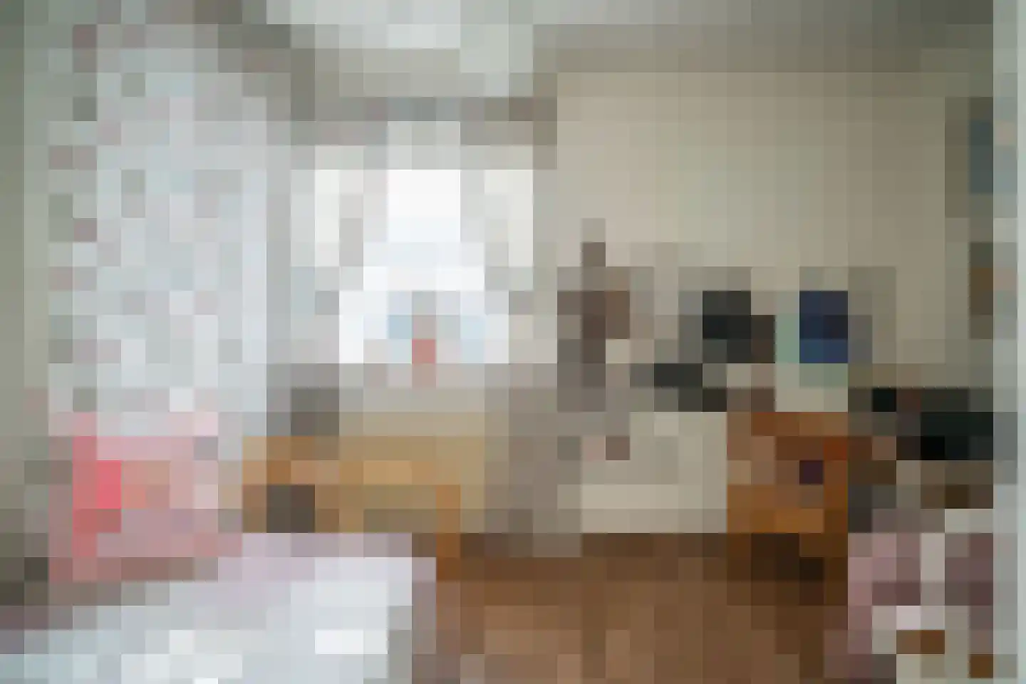 Soestdijksekade 862 Den Haag thumbnail 38