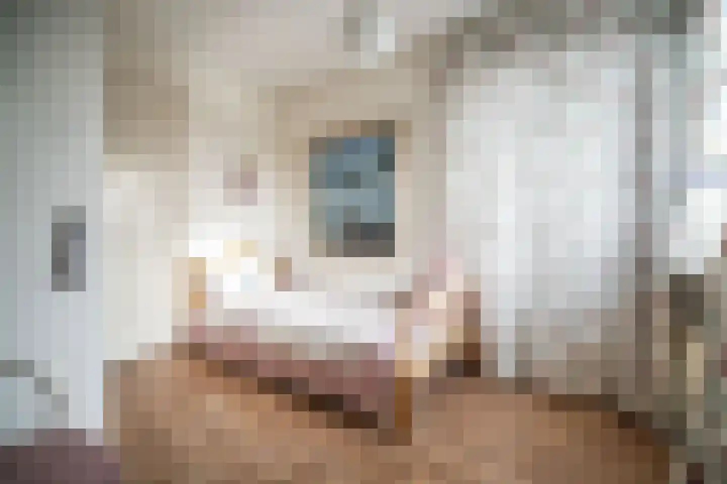 Soestdijksekade 862 Den Haag thumbnail 40