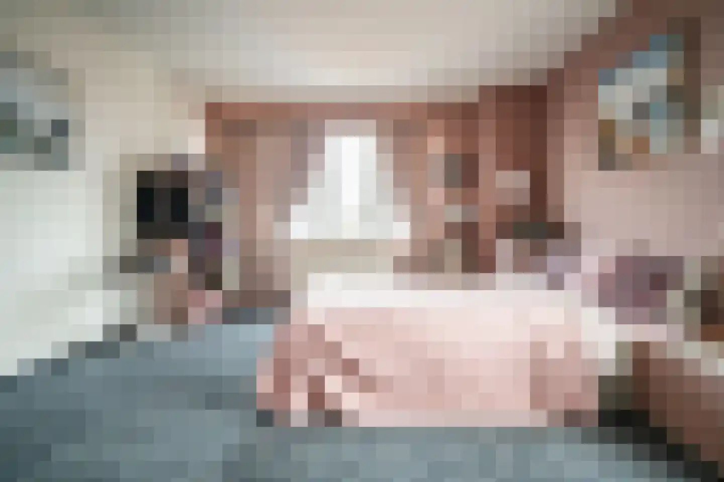 Soestdijksekade 862 Den Haag thumbnail 42